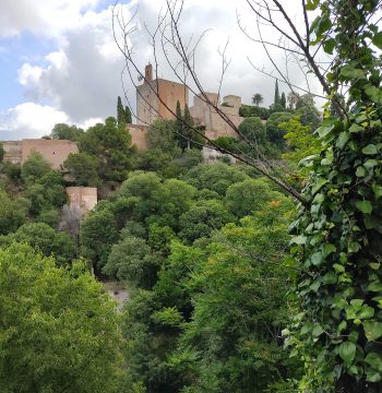 Alhambra desde Realejo
