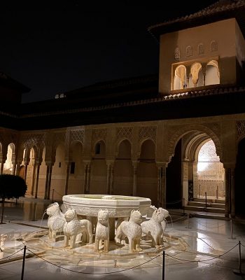 Patio de los leones por la noche